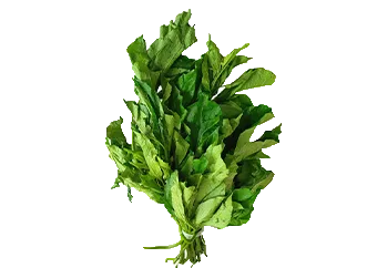 Ugu