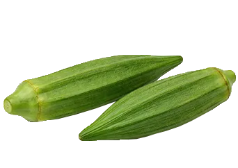 Okra (Okro)