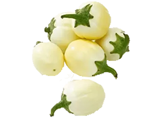 Garden Egg (White)