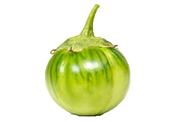 Garden Egg (Green)