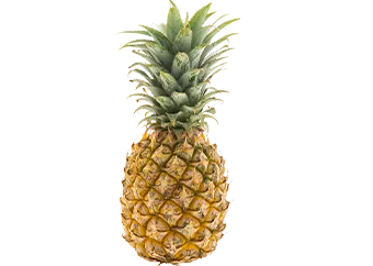 Pineapple - Semi-ripe (Large)