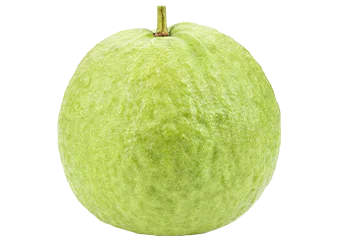 Guava (White)