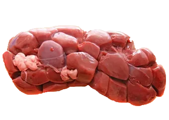 Beef Kidney