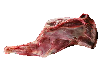 Ram Leg