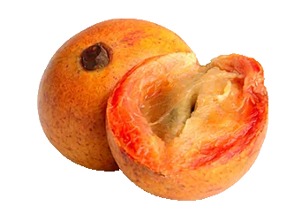 Agbalumo or Star Apple