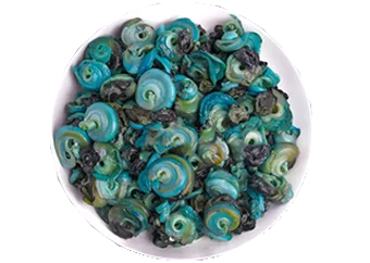 Frozen Periwinkle Meat (Without Shell)