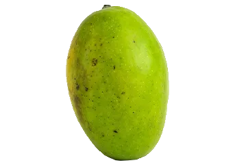 German Mango