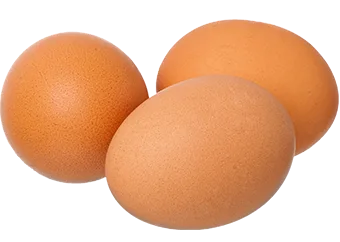 Pullet Eggs (Small)