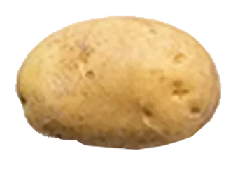 Potato - Irish