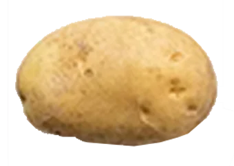 Potato - Irish