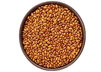 Beans (Drum)