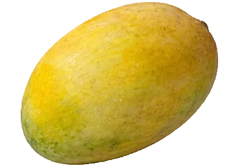 Ogbomosho Mango