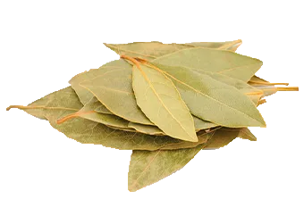 Bay Leaf