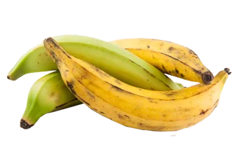 Plantain (Medium)