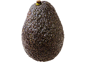Avocado (Hass)