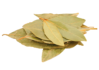 Bay Leaf