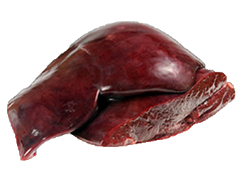 Beef Liver