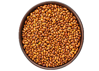 Beans (Drum)
