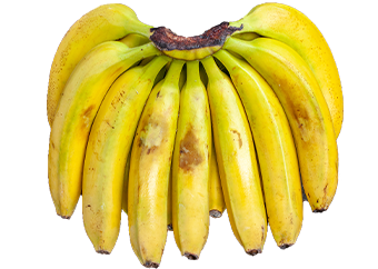 Bananas (Cavendish)