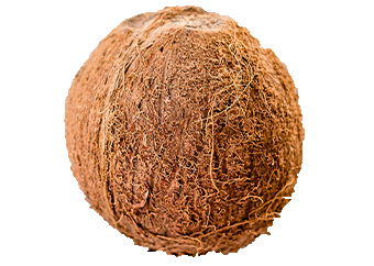 Coconut