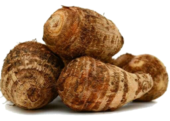 Cocoyam