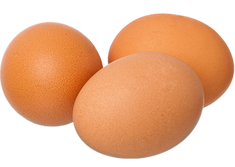 Chicken Eggs