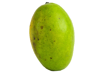 German Mango