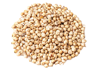 White Guinea Corn (Okababa)