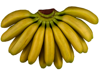 Small Bananas (Omini)