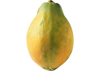 Pawpaw (Solo Papaya)