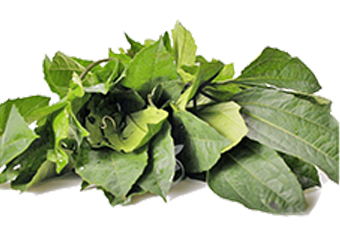 Scent Leave (Efirin/Nchuanwu)