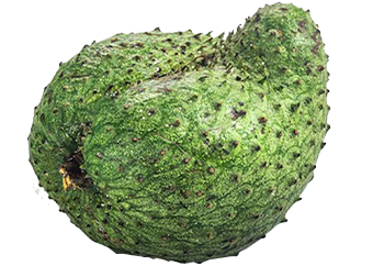 Soursop