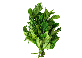 Ugu (Fluted Pumpkin Leave)