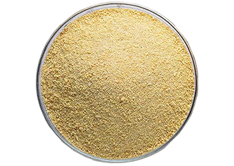 Garri - Yellow