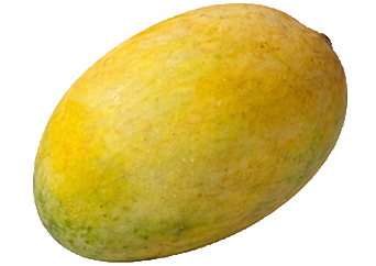 Ogbomosho Mango