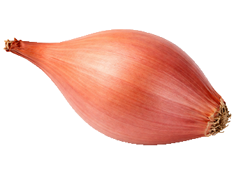 Red Onion (Shallots)